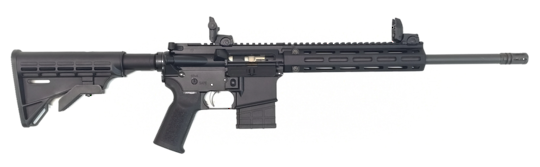 Tippmann Arms M4-22 Pro-L 22LR rifle